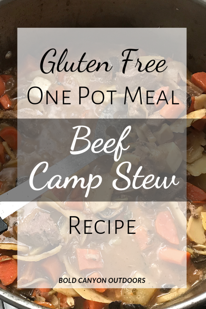  Gluten Free Beef & Vegetable Stew One Pot Meal